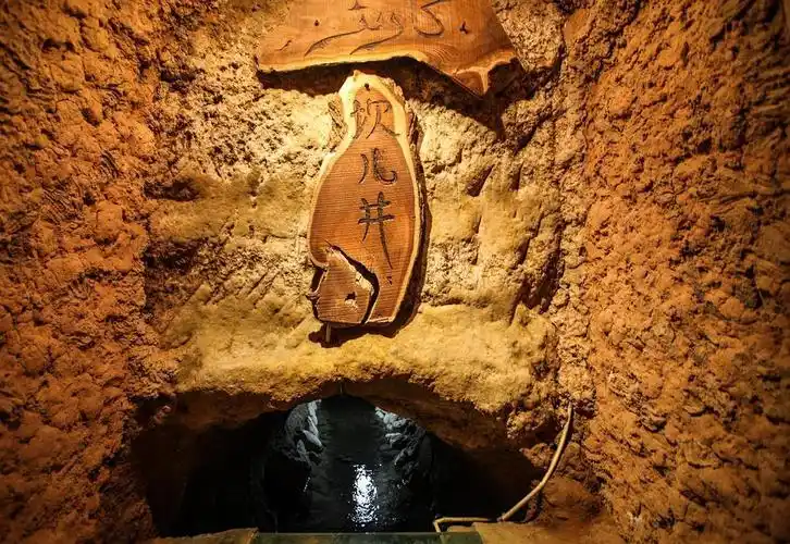 新时代非遗助力乡村振兴计划暨新时代非遗文化传播青年大使推广活动启动