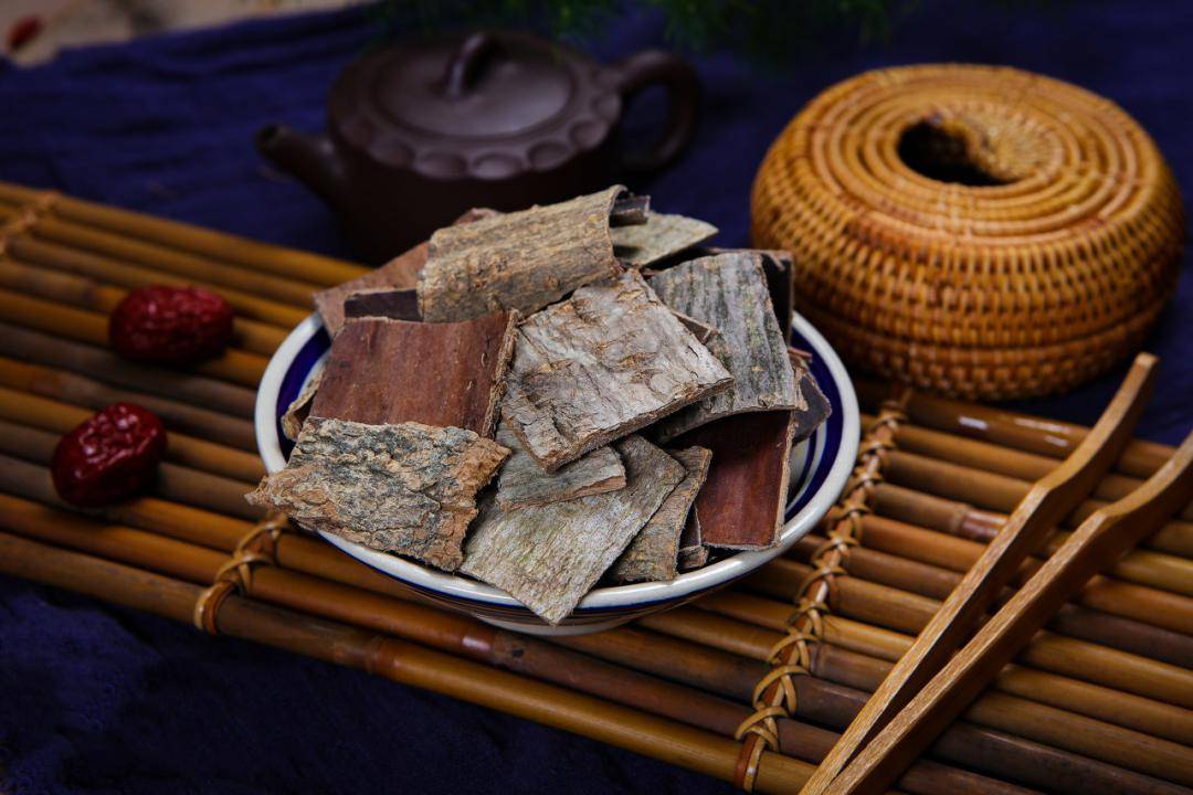 新时代非遗助力乡村振兴计划暨新时代非遗文化传播青年大使推广活动启动