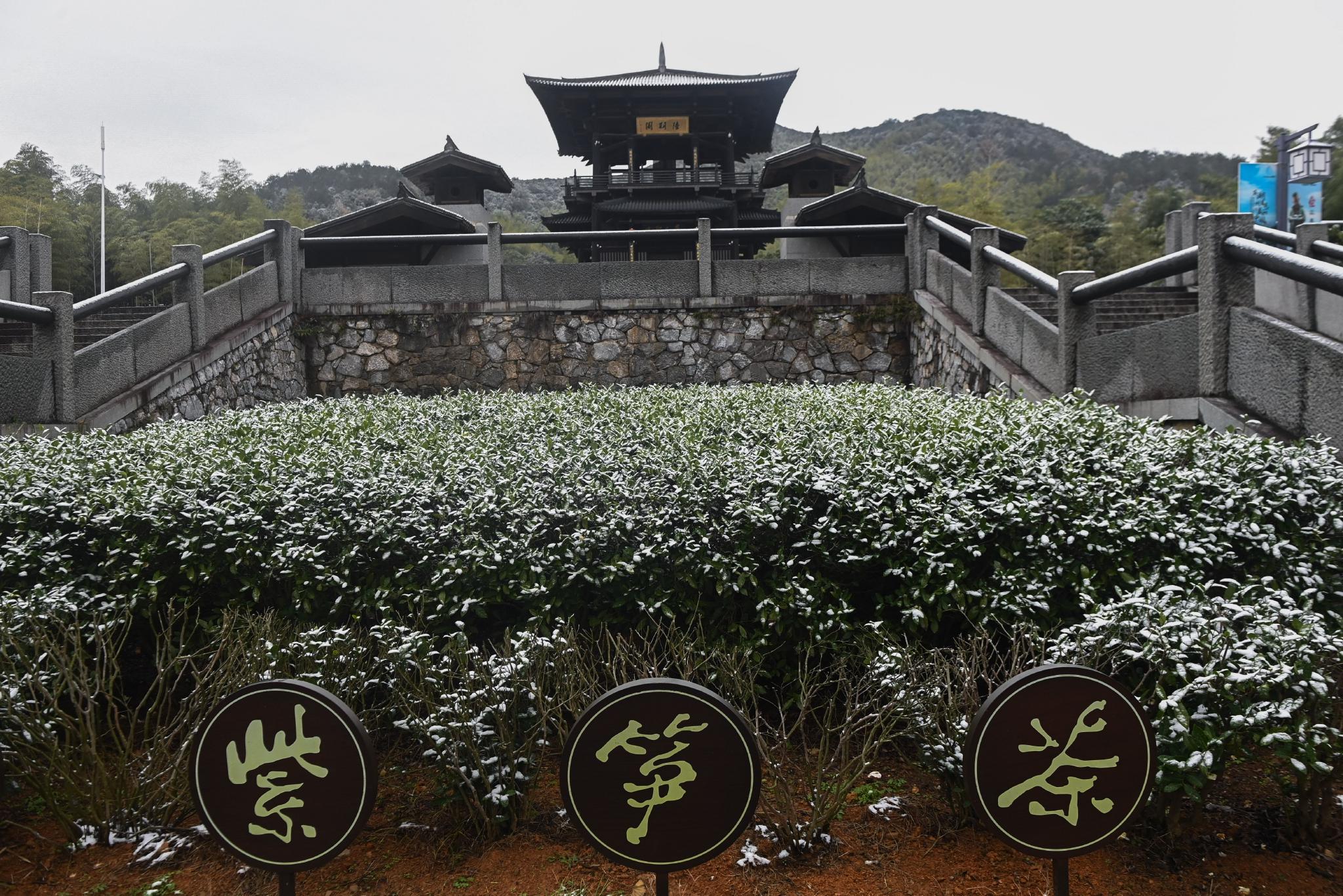 新时代非遗助力乡村振兴计划暨新时代非遗文化传播青年大使推广活动启动