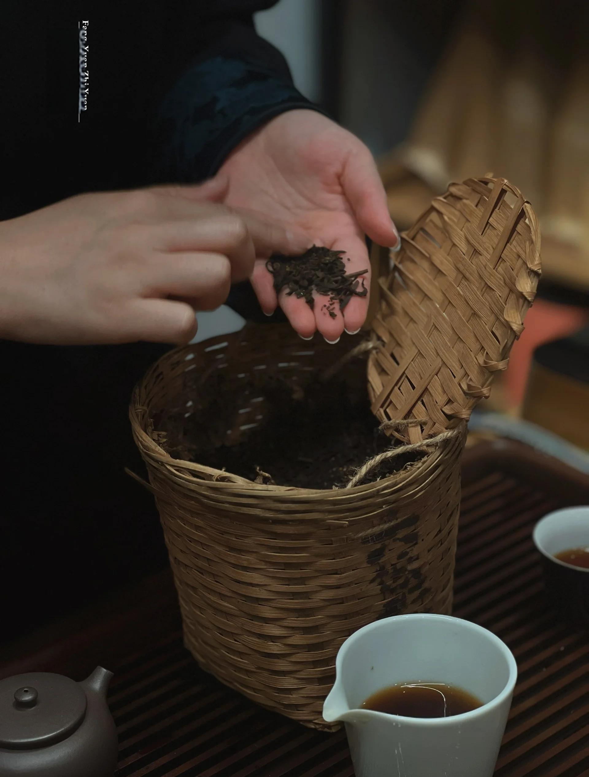 新时代非遗助力乡村振兴计划暨新时代非遗文化传播青年大使推广活动启动