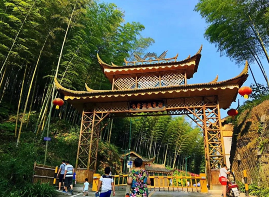 新时代非遗助力乡村振兴计划暨新时代非遗文化传播青年大使推广活动启动