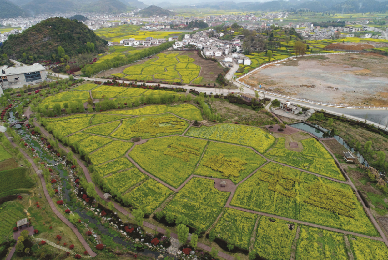 新时代非遗助力乡村振兴计划暨新时代非遗文化传播青年大使推广活动启动