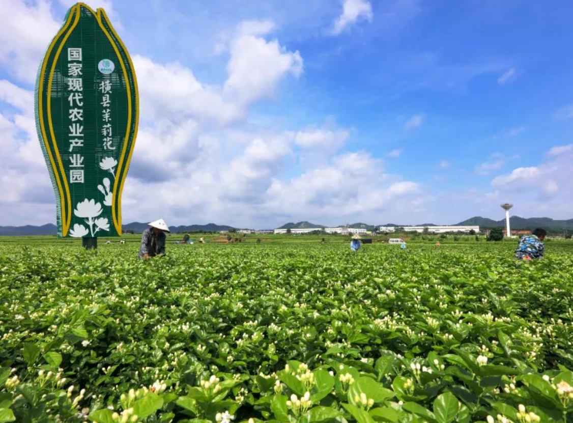 新时代非遗助力乡村振兴计划暨新时代非遗文化传播青年大使推广活动启动