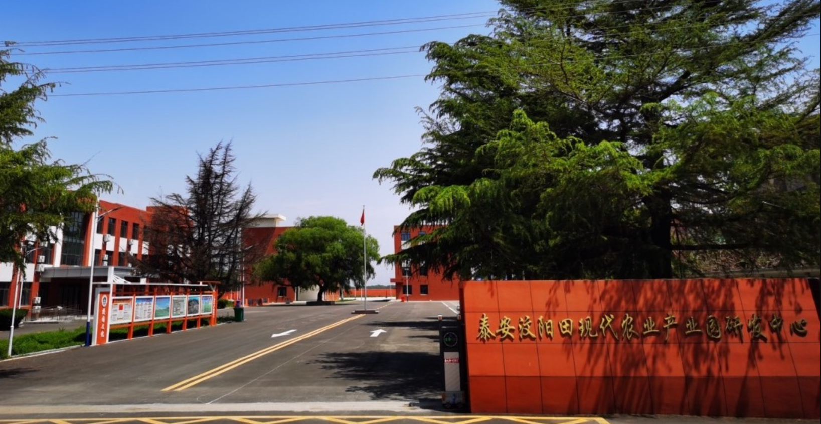 新时代非遗助力乡村振兴计划暨新时代非遗文化传播青年大使推广活动启动
